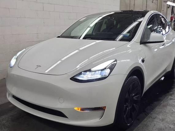 TESLA MODEL Y 2023 7SAYGDEE8PF944587 image